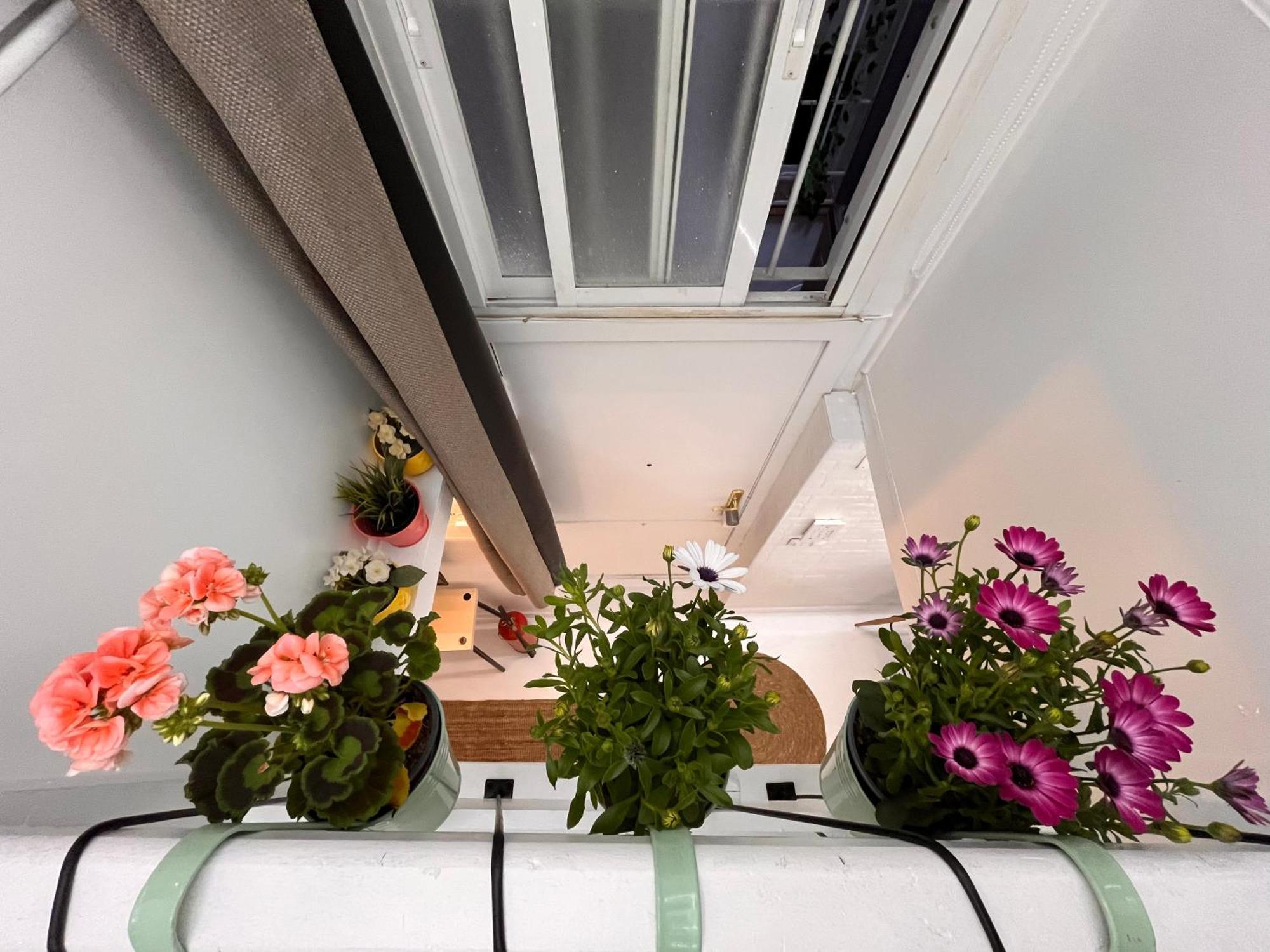 Mini Duplex4 Plaza Mayor Madryt Zewnętrze zdjęcie